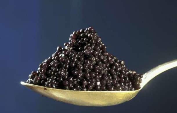 caviar