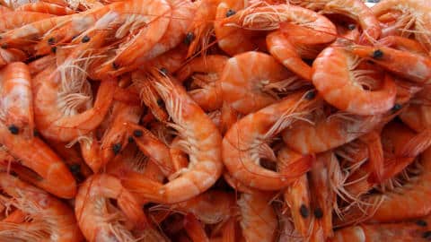 crevettes