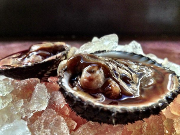 On les retrouve principalement dans la Mer de Chine. Il faut consommer cette sorte de palourdes avec précaution. Ces crustacés vivent à 1 ou 2 mètres de profondeur sous le sable, parfois ils se retrouvent sans oxygène et sont plus sensibles aux bactéries telles que l'hépatite A et E, la typhoïde et la dysenterie. Les palourdes ensanglantées ne doivent pas être consommées crues.  