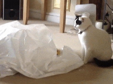 282711da-e7b4-4d1e-93d1-59d24e3c89f5