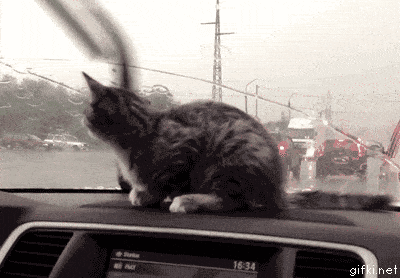 9dfaa0ac-99cc-47b1-9489-0212596348a7