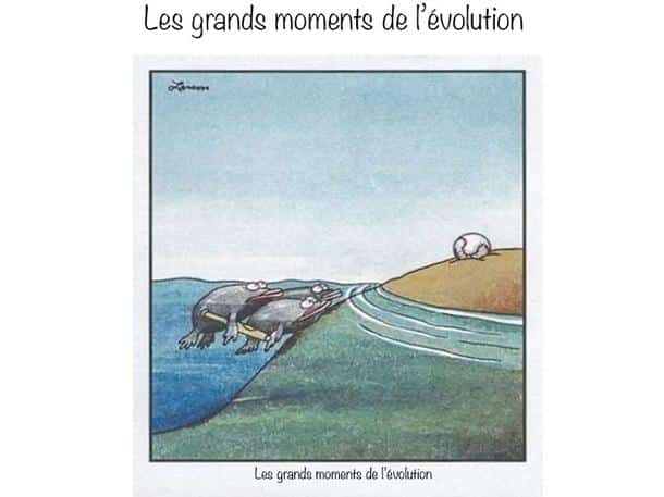 40 illustrations sur l'évolution de l'Homme qui nous font nous demander ...