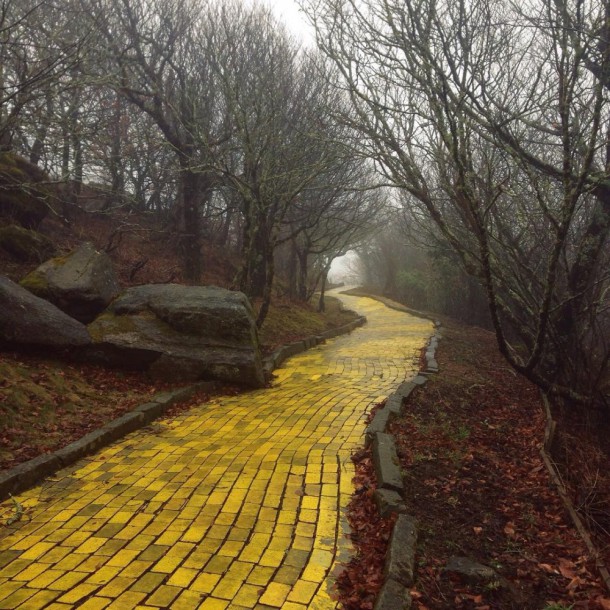 The yellow brick road in a deserted ’Land of Oz’ theme park, North Carolina, USA