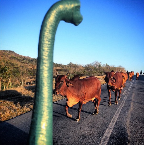travel-photography-dinosaur-toys-dinodinaseries-jorge-saenz-1682