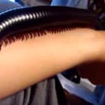 mille-pattes