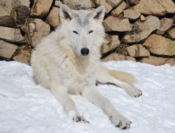 13460829_10210219260336988_1997473923_o