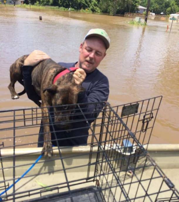 dad-son-save-dogs-flood-texas-26