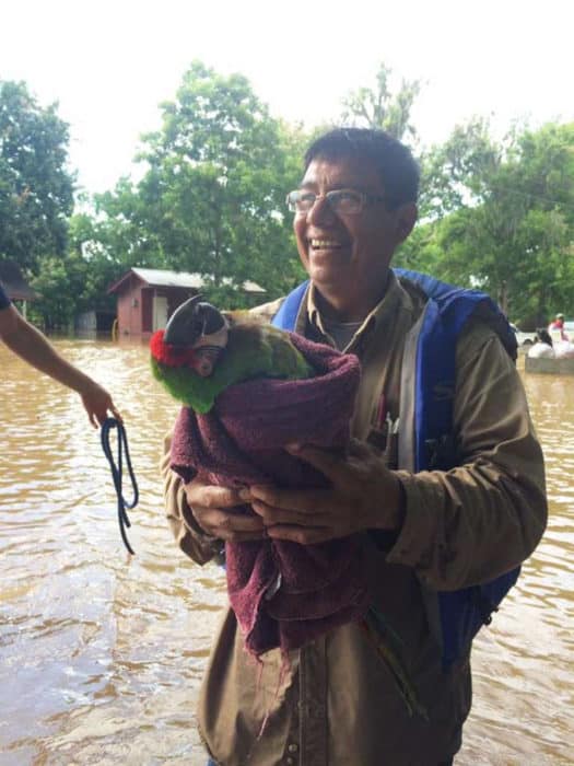 dad-son-save-dogs-flood-texas-28