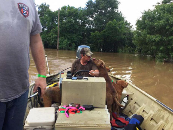 dad-son-save-dogs-flood-texas-7