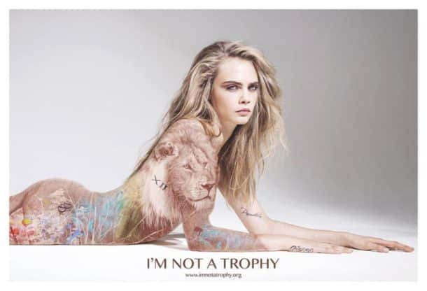i-not-a-trophy-810x553