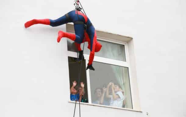 spider