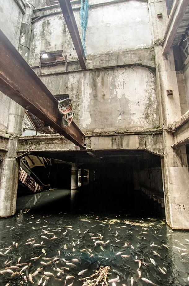 Centre-commercial-abandonné-Thailande