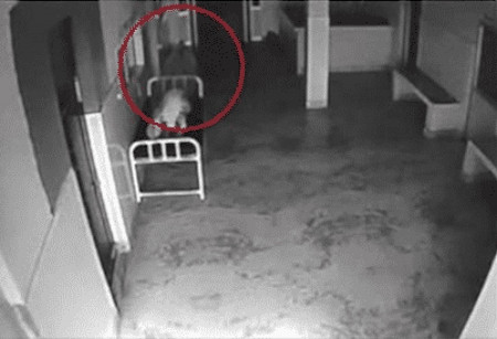 paranormal
