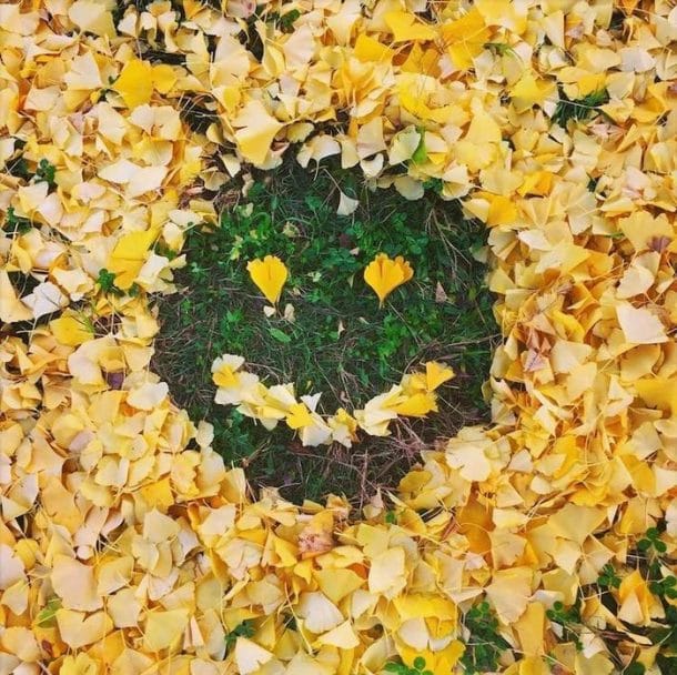 Smiley feuilles mortes