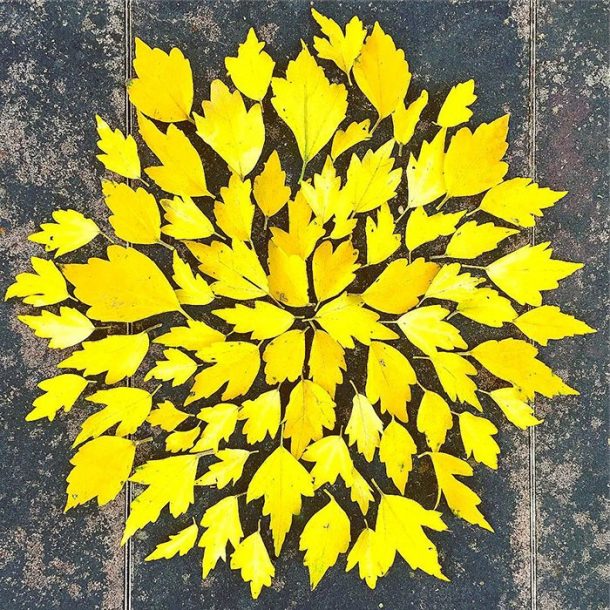 Soleil feuilles mortes
