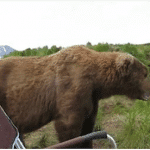 ours