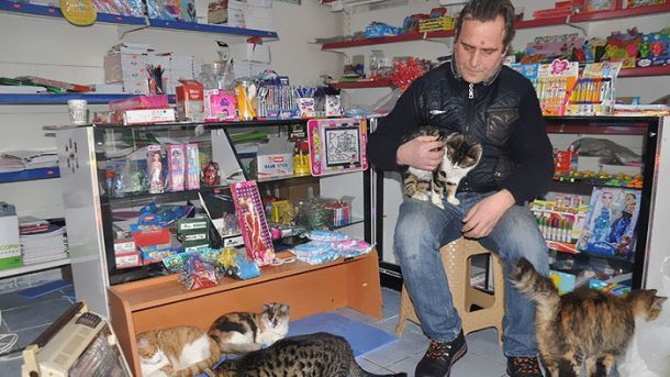 Selçuk Bayal et les chats qu'il accueille dans sa boutique