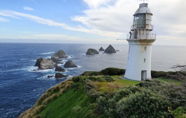 Département des Parcs et de la Vie Sauvage Tasmanien - Gardien d'île