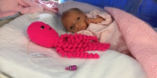 Les peluches pieuvres pour les bébés prématurés