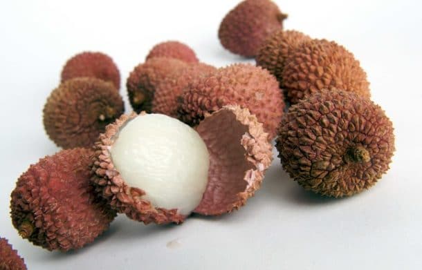 Molécule du litchi : responsable du décès de centaines d'enfants en Inde