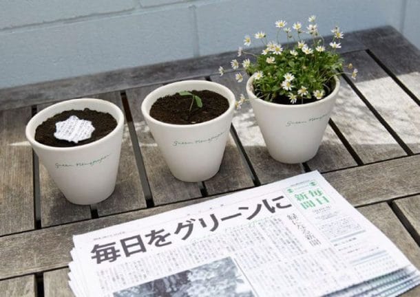 Journal japonais à planter
