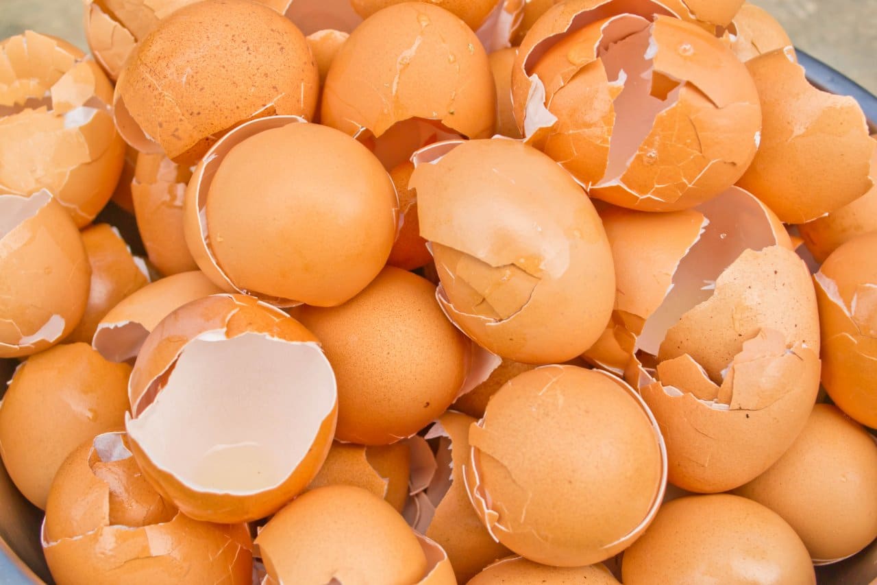 Apprenez à cuisiner les coquilles d’œufs pour soigner vos maux de ventre