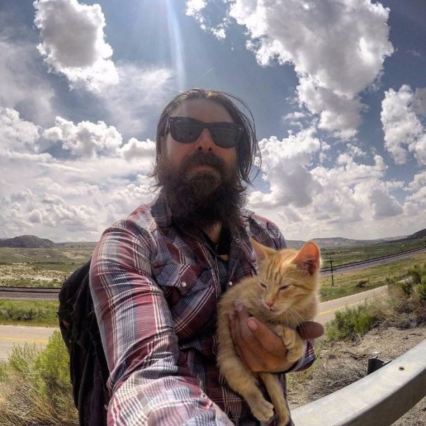 biker sauve un chaton