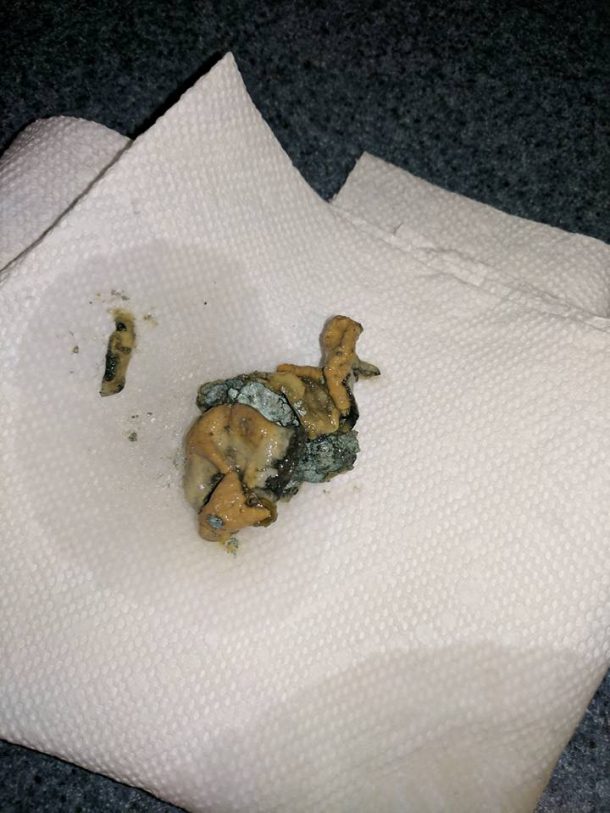 eau de noix de coco contaminee