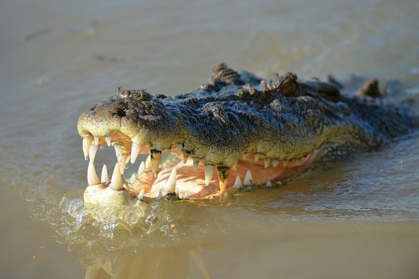 un pasteur tente de marcher sur l'eau