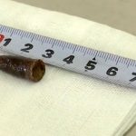 Capuchon en décomposition retrouvé dans ses poumons(