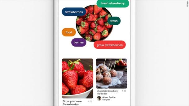 lens pinterest
