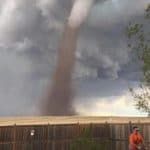 tond la pelouse tempete