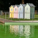 piscine ecologique belgique
