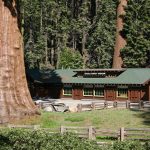 sequoia geant