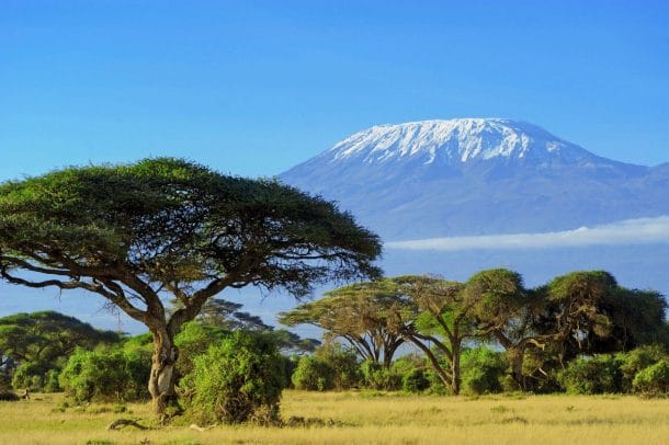 Kilimandjaro 7 lieux exceptionnels