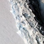 larsen c antarctique