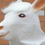 masque lama