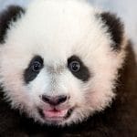 bei bei
