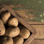 culture de patates aux etats unis