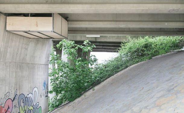 bureau insolite sous un pont