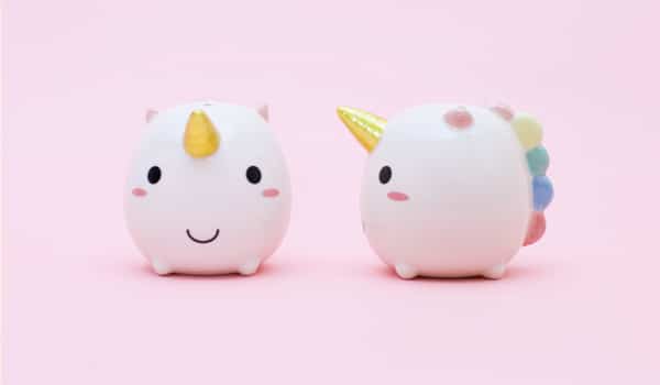 sel et poivre licorne