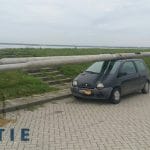 twingo
