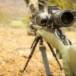 partie de chasse en vendee