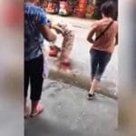 accouche en pleine rue