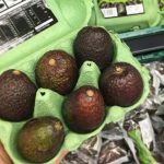 mini avocats