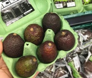mini avocats