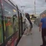 tramway montpellier