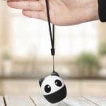 enceinte panda