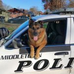 chien policier cancer