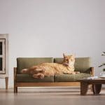 canapé pour chat